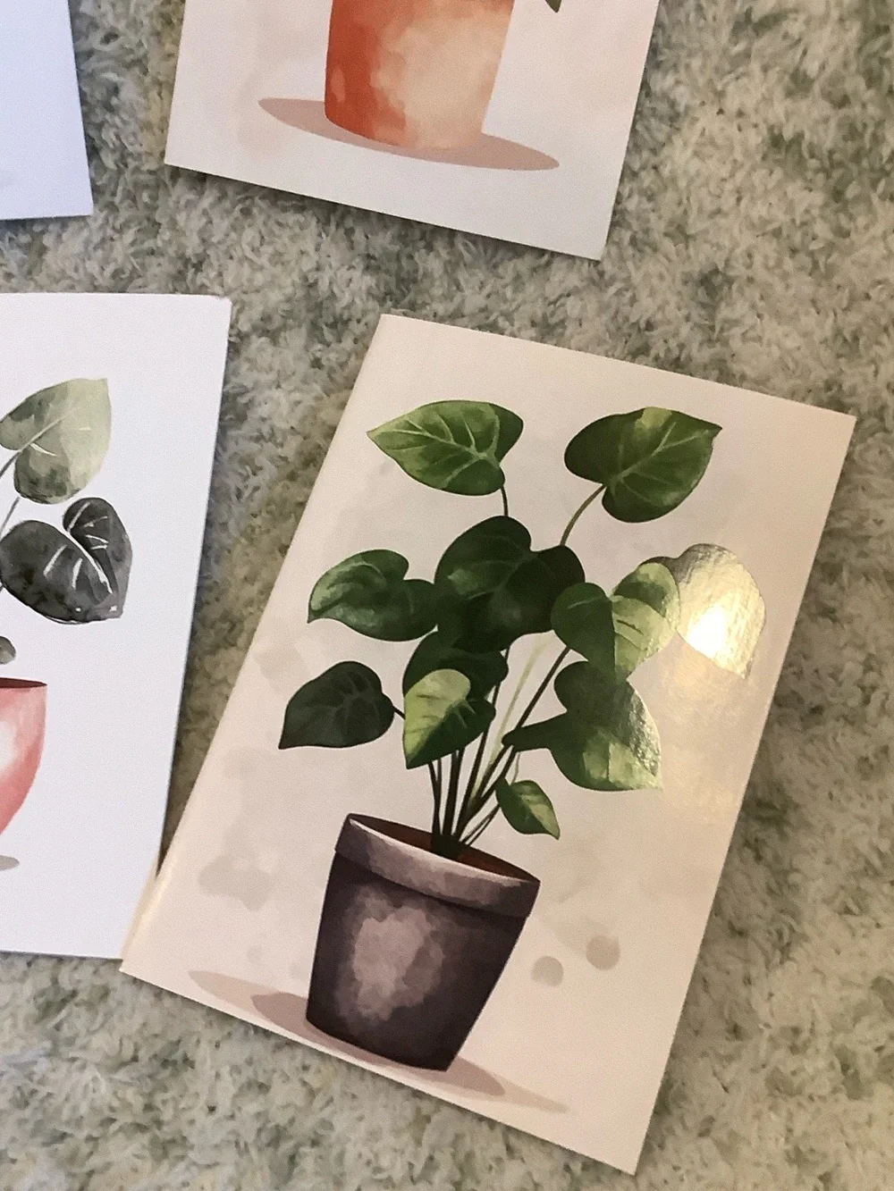Potted Tropical Plants Note Cards Variety Pack Set of 6 Blank inside NWT HC